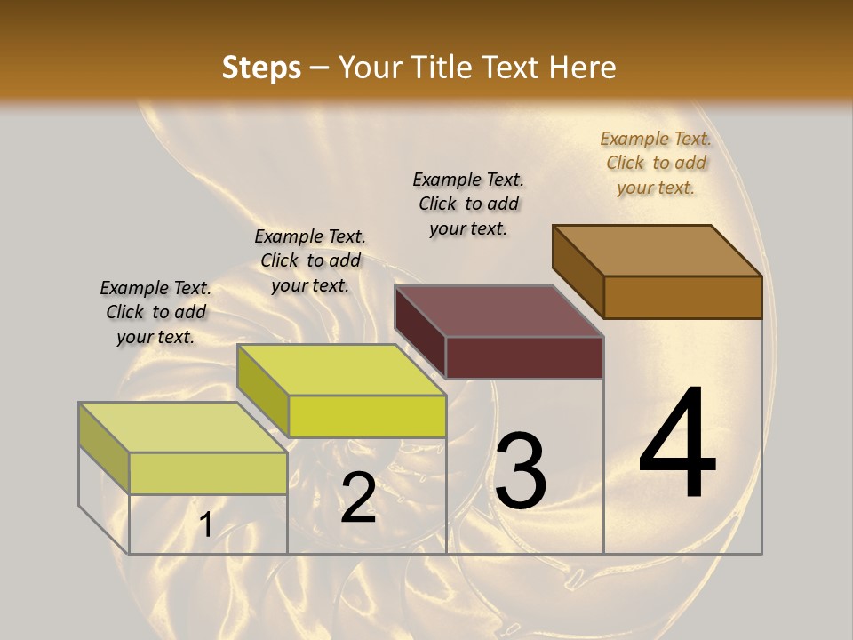 Chambered Nautilus PowerPoint Template