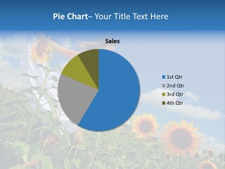 Sunflower Field PowerPoint Template