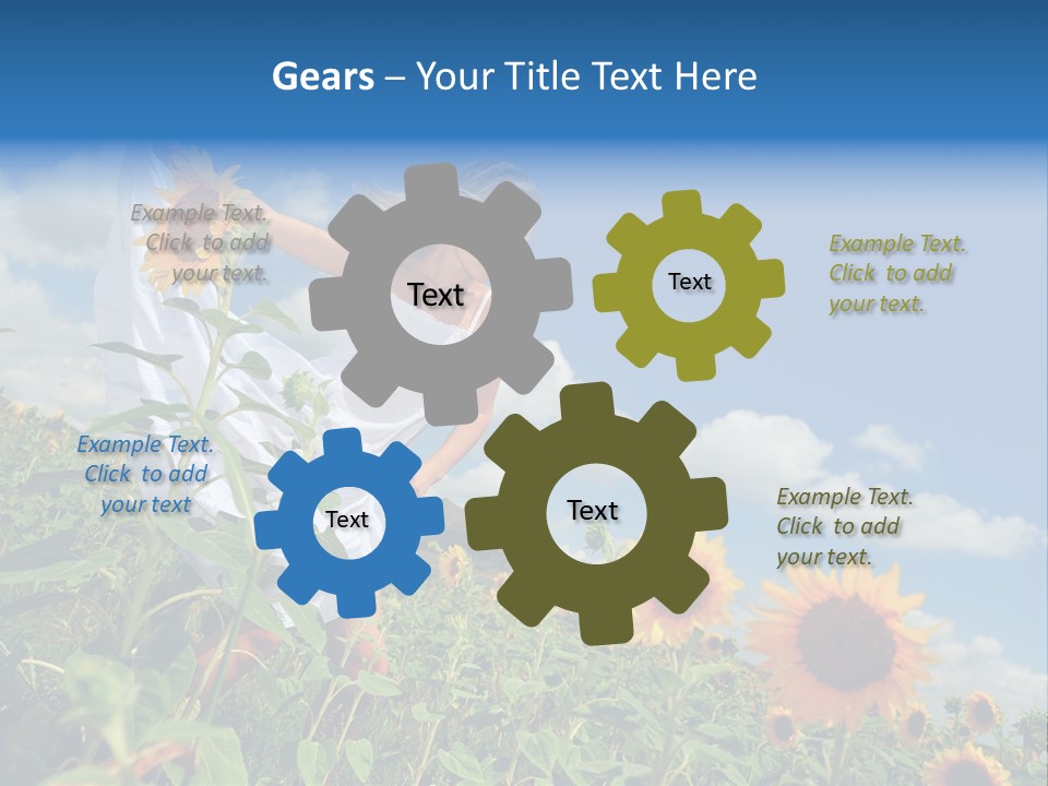 Sunflower Field PowerPoint Template