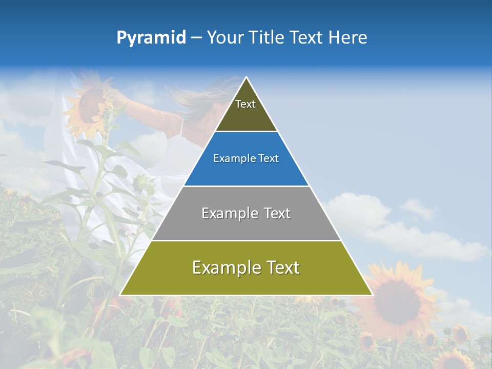 Sunflower Field PowerPoint Template