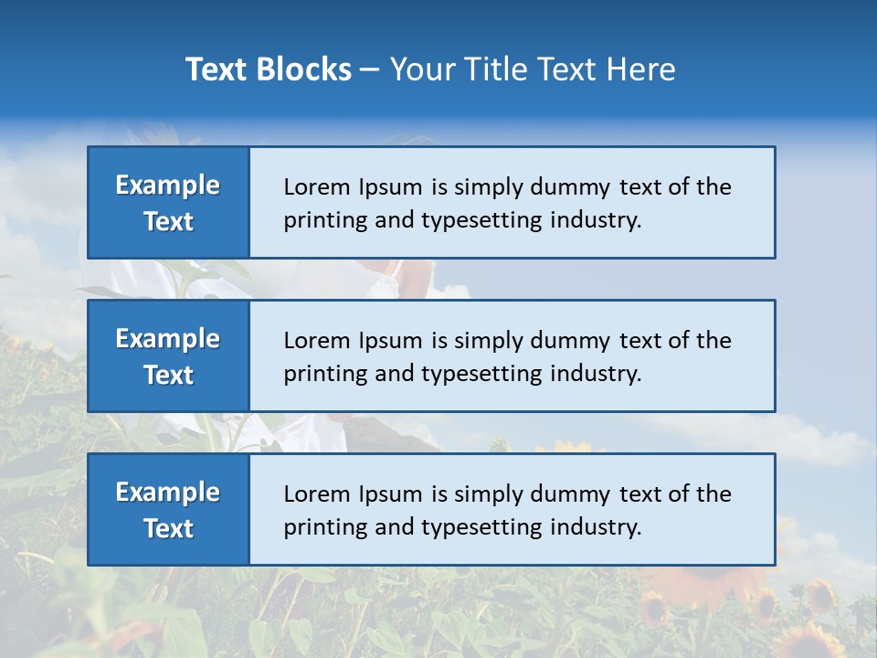 Sunflower Field PowerPoint Template