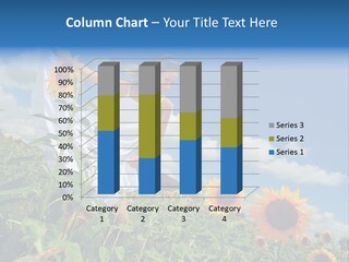 Sunflower Field PowerPoint Template