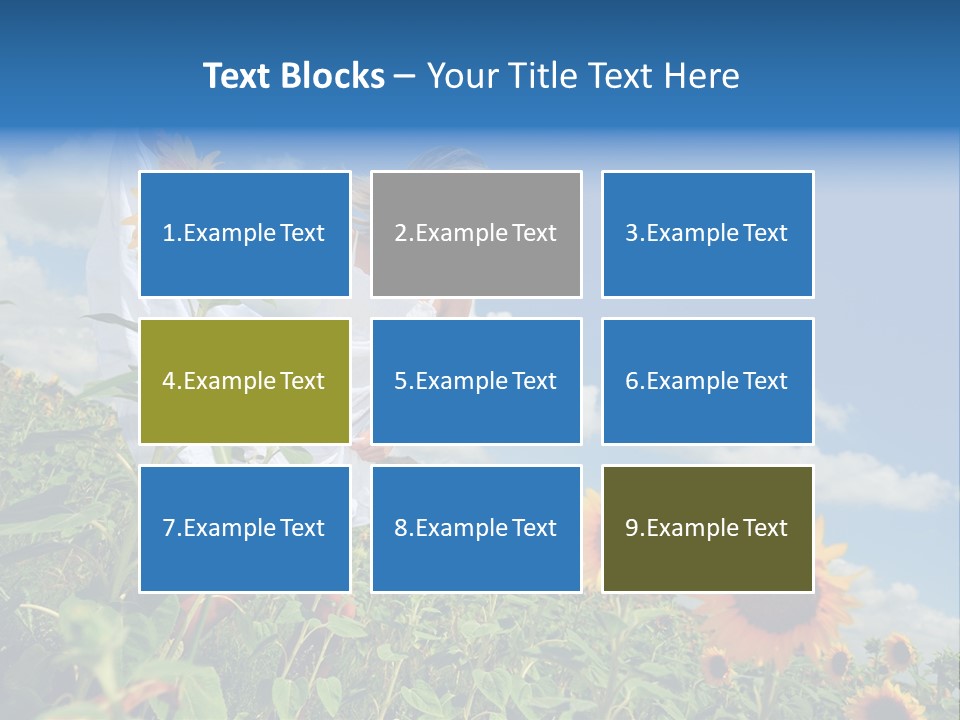 Sunflower Field PowerPoint Template