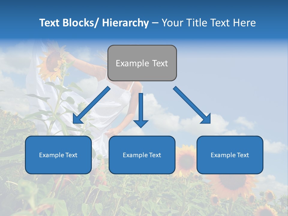 Sunflower Field PowerPoint Template