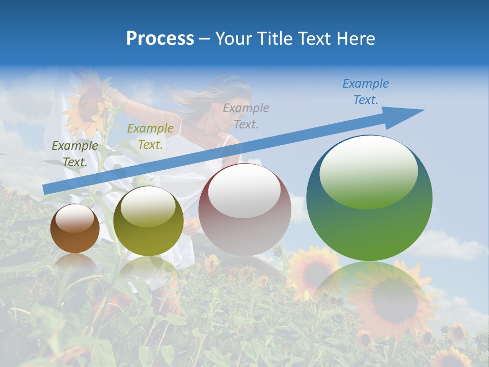 Sunflower Field PowerPoint Template