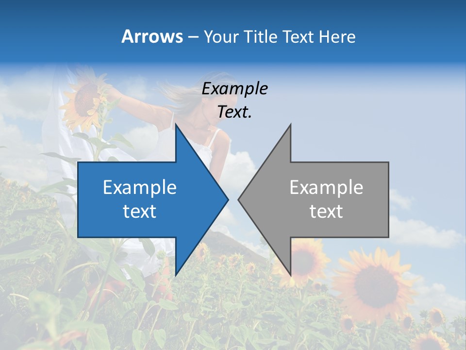Sunflower Field PowerPoint Template