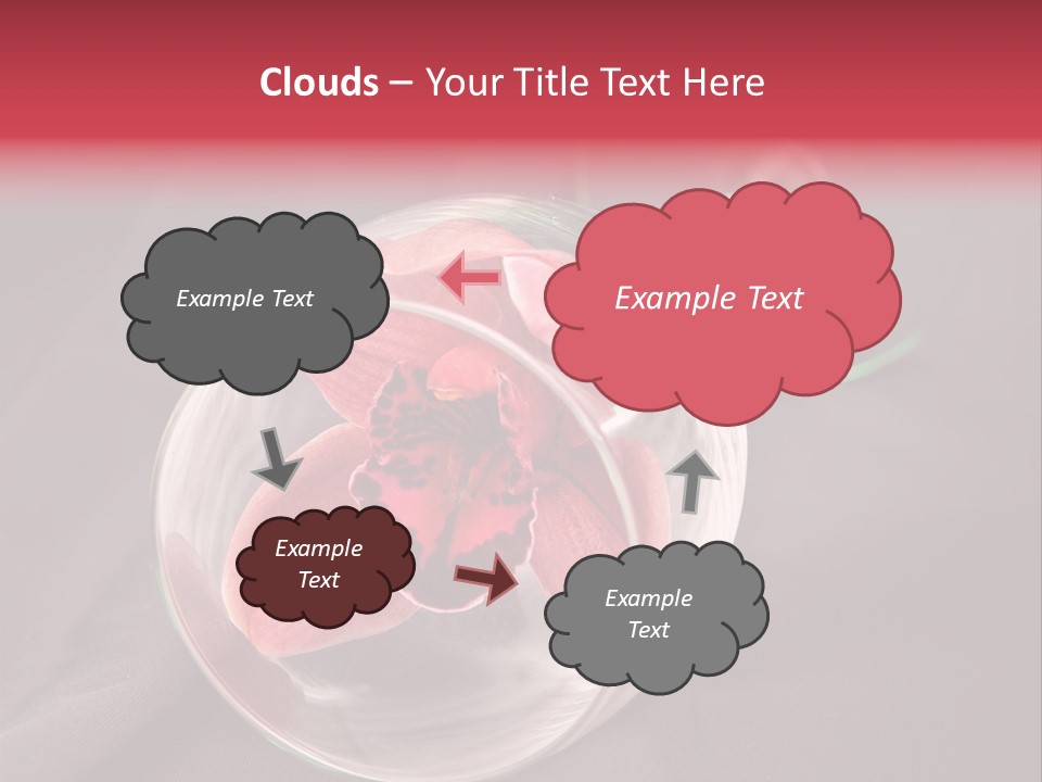 Beverage Blossom Flowers PowerPoint Template