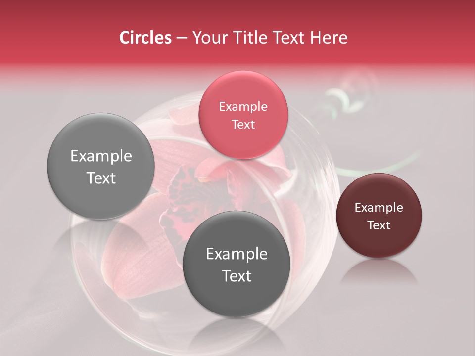 Beverage Blossom Flowers PowerPoint Template