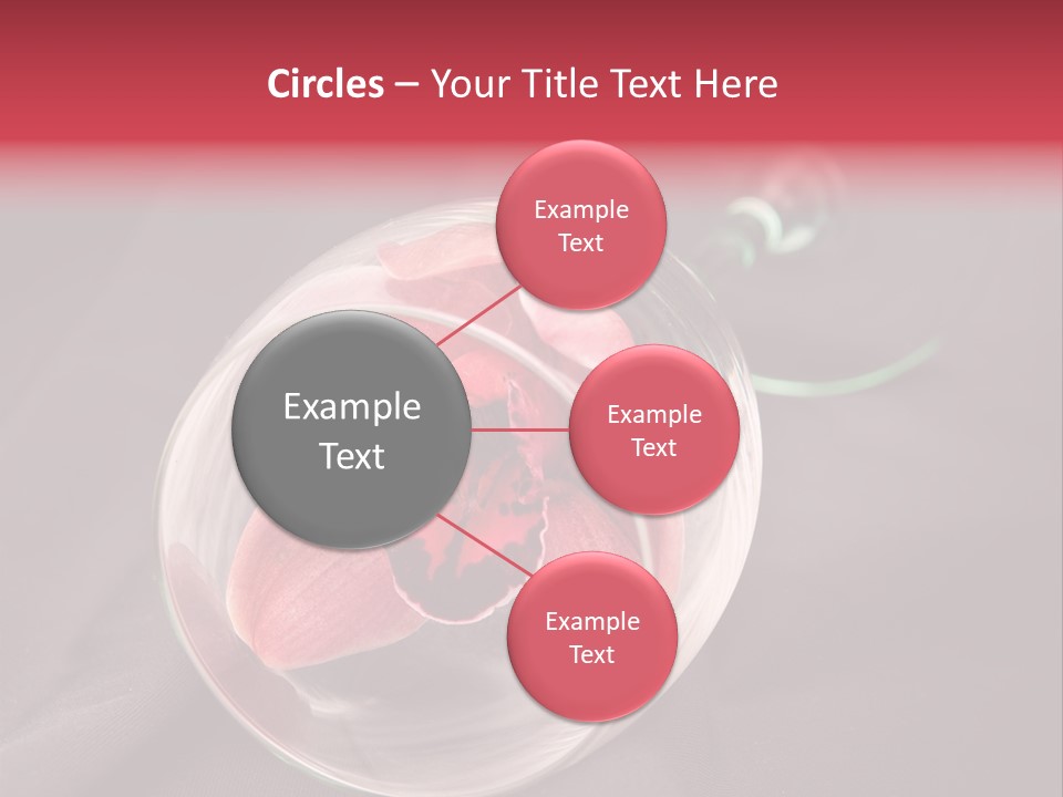 Beverage Blossom Flowers PowerPoint Template