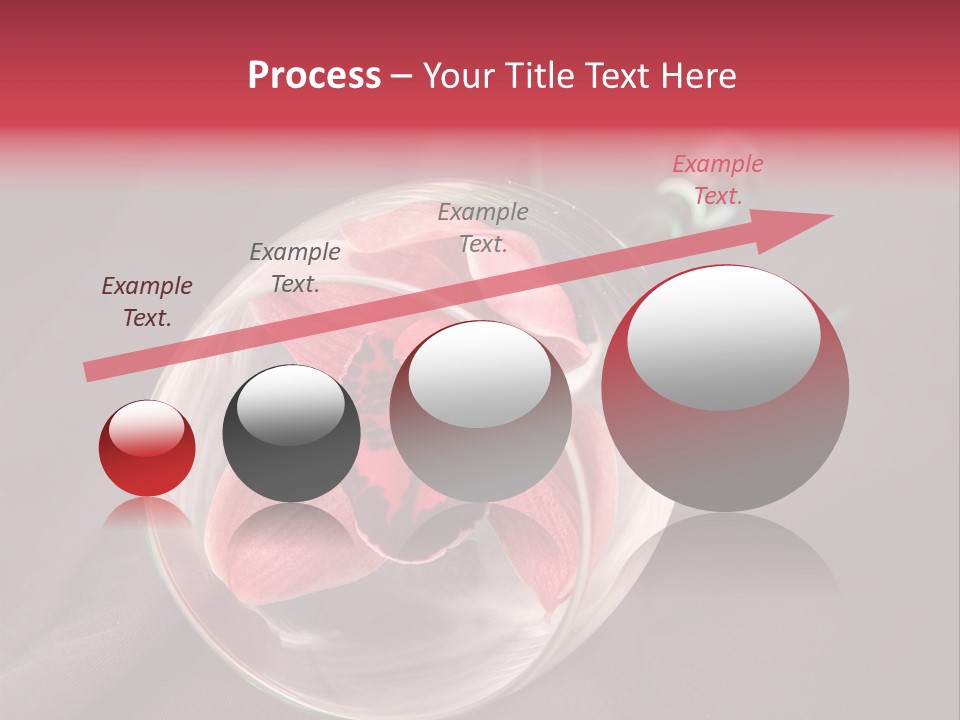 Beverage Blossom Flowers PowerPoint Template