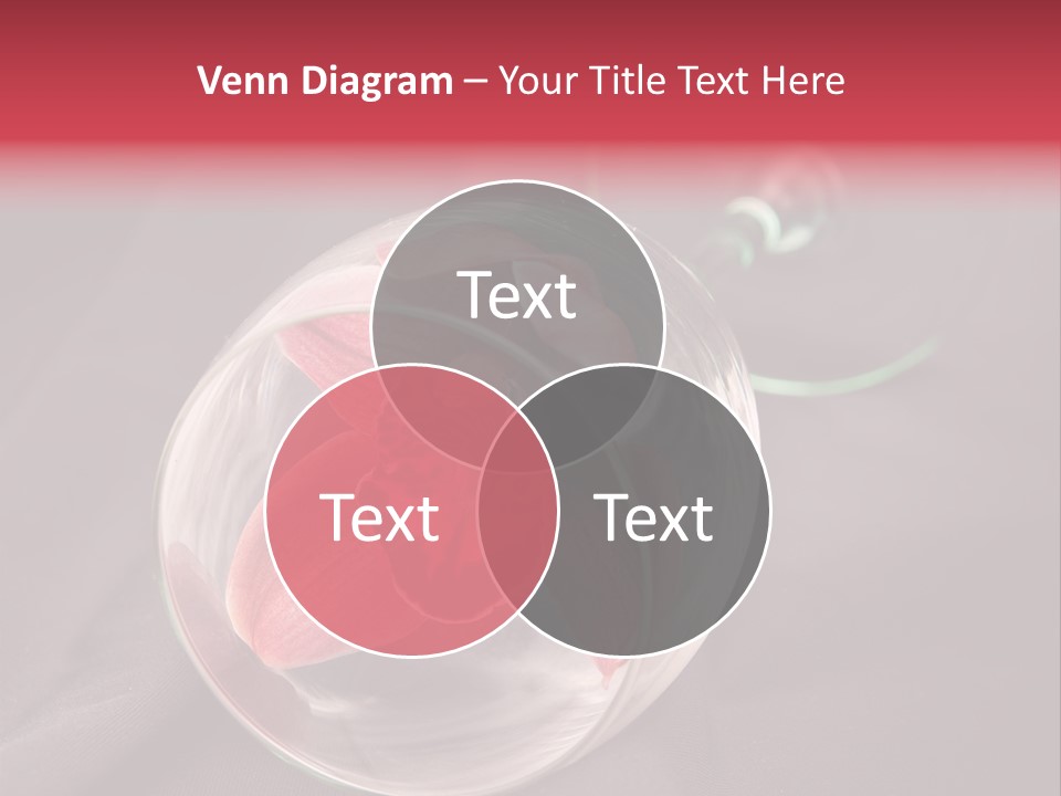 Beverage Blossom Flowers PowerPoint Template