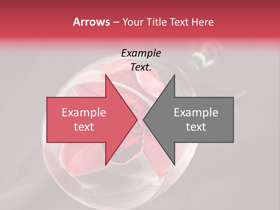 Beverage Blossom Flowers PowerPoint Template