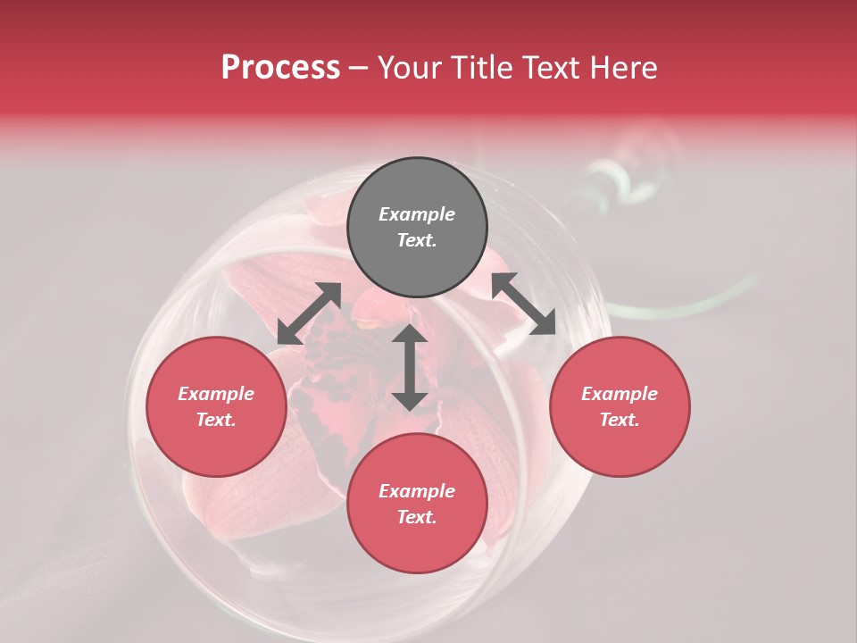 Beverage Blossom Flowers PowerPoint Template