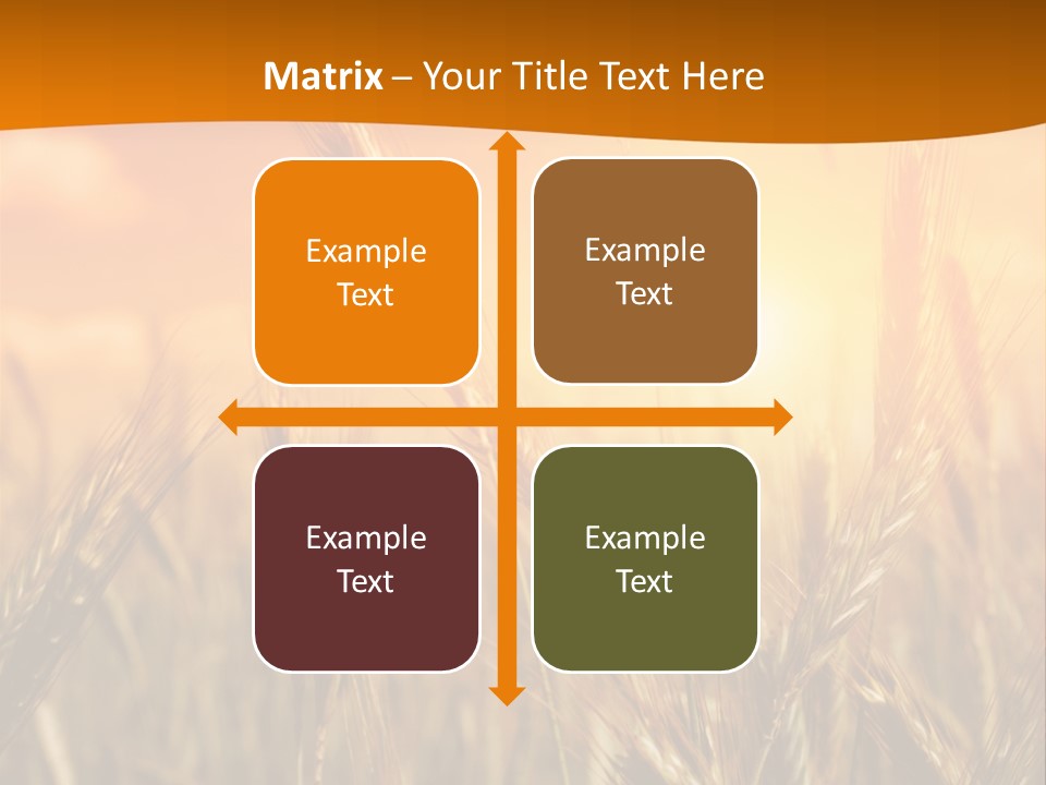 Wheat Fields PowerPoint Template