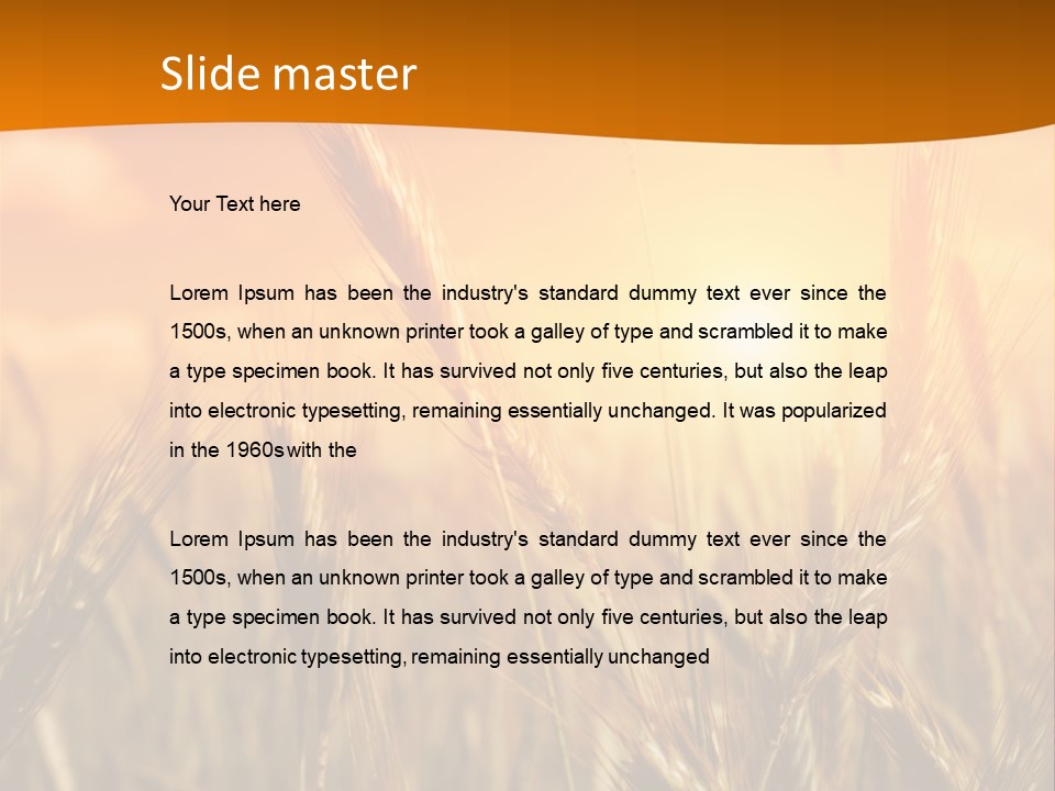 Wheat Fields PowerPoint Template