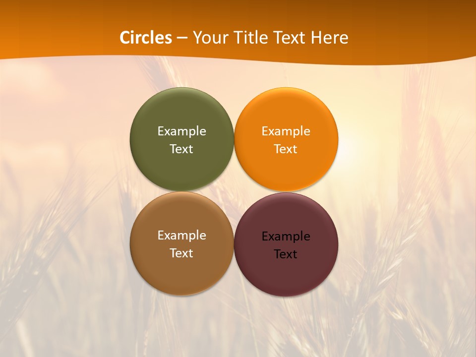 Wheat Fields PowerPoint Template