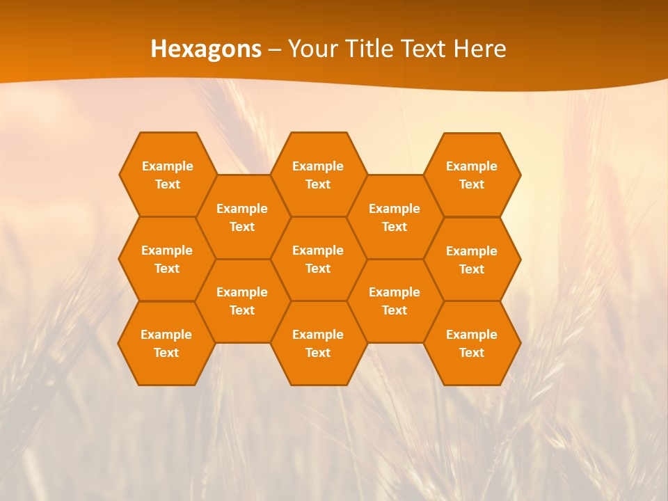 Wheat Fields PowerPoint Template