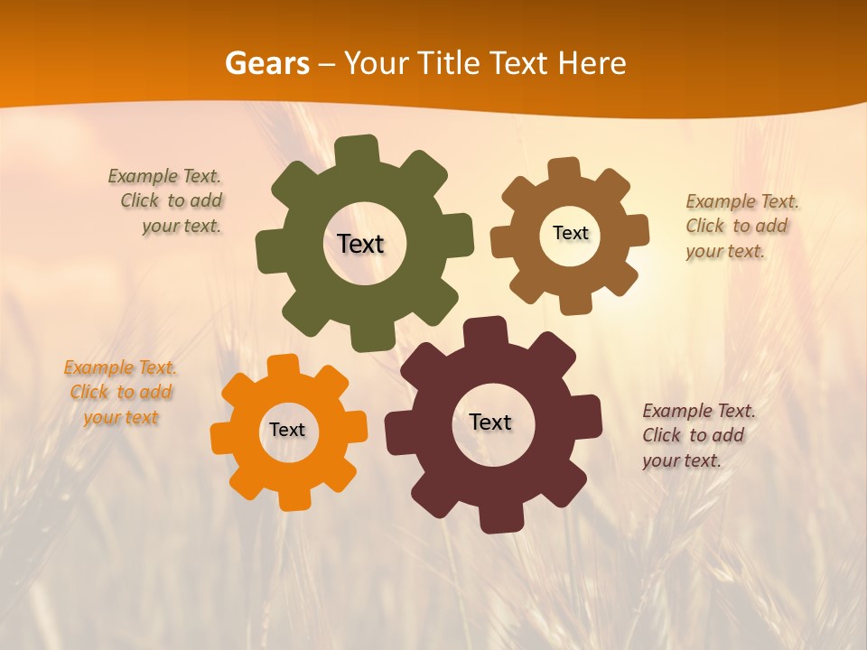 Wheat Fields PowerPoint Template