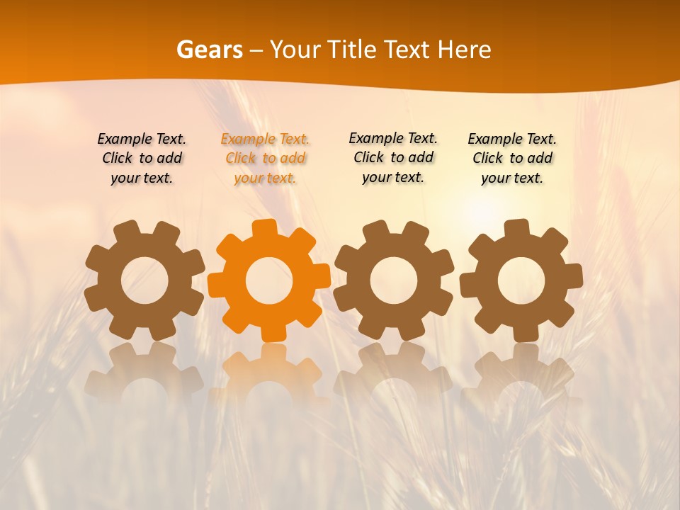Wheat Fields PowerPoint Template