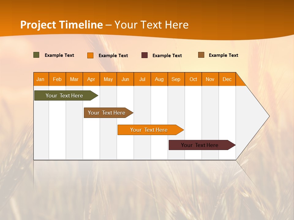 Wheat Fields PowerPoint Template