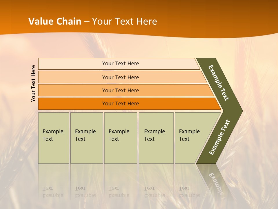 Wheat Fields PowerPoint Template