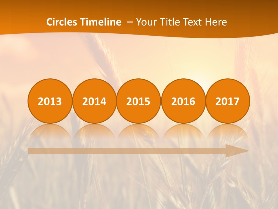 Wheat Fields PowerPoint Template