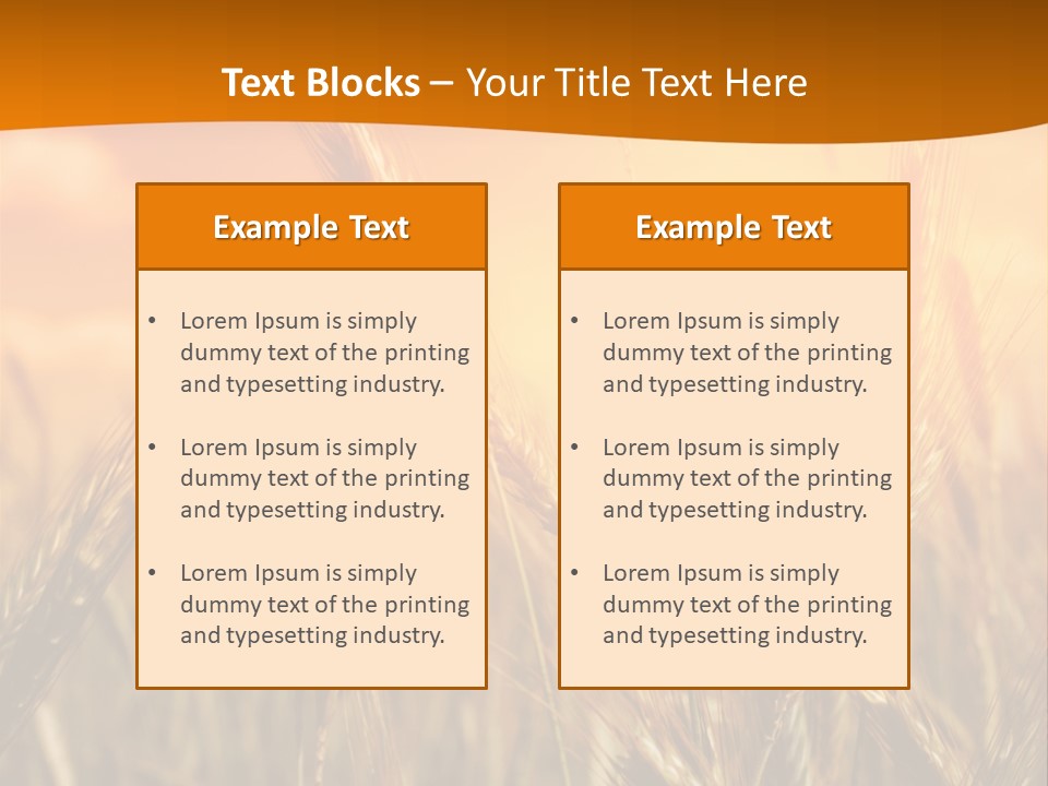 Wheat Fields PowerPoint Template