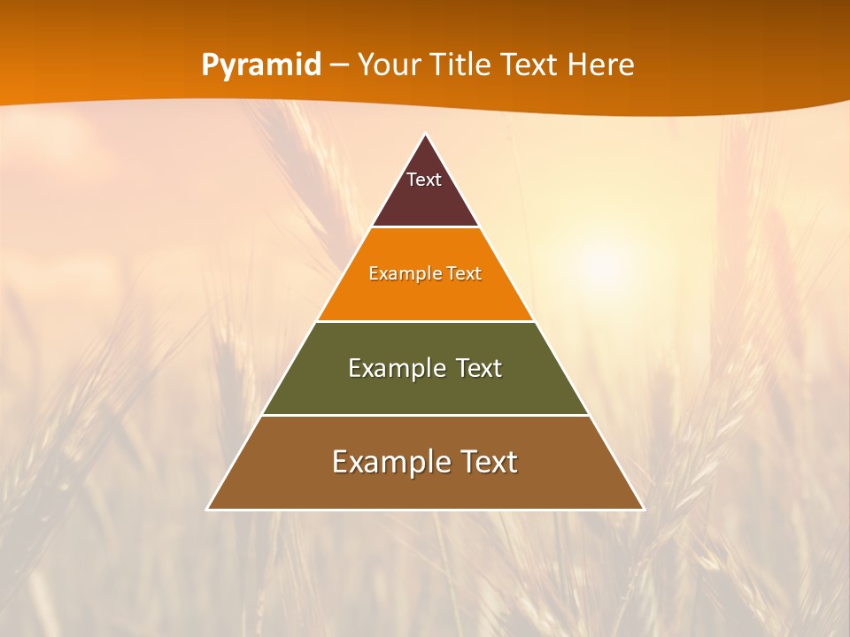 Wheat Fields PowerPoint Template