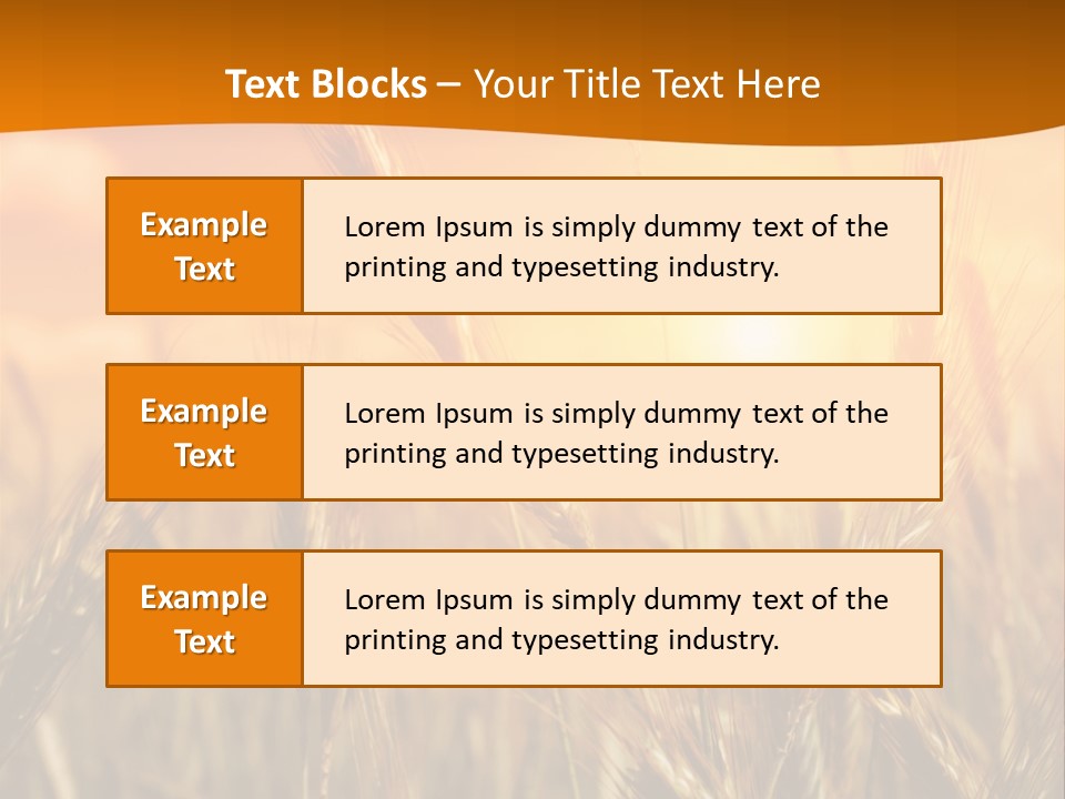 Wheat Fields PowerPoint Template
