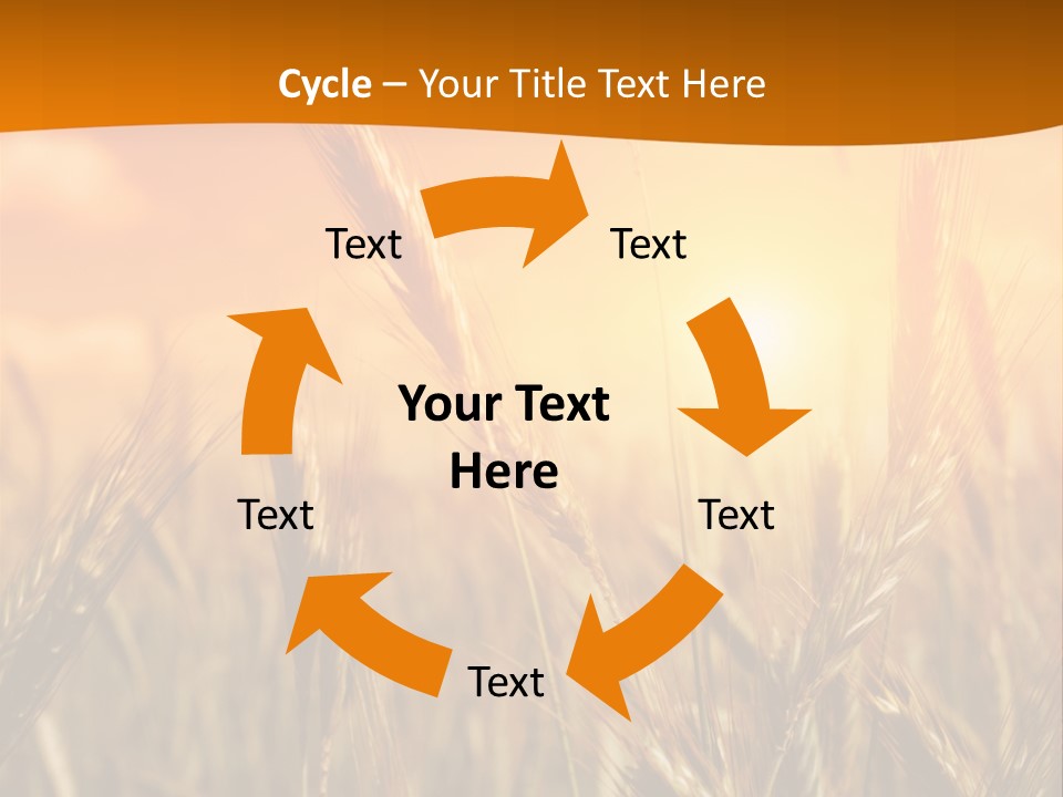 Wheat Fields PowerPoint Template