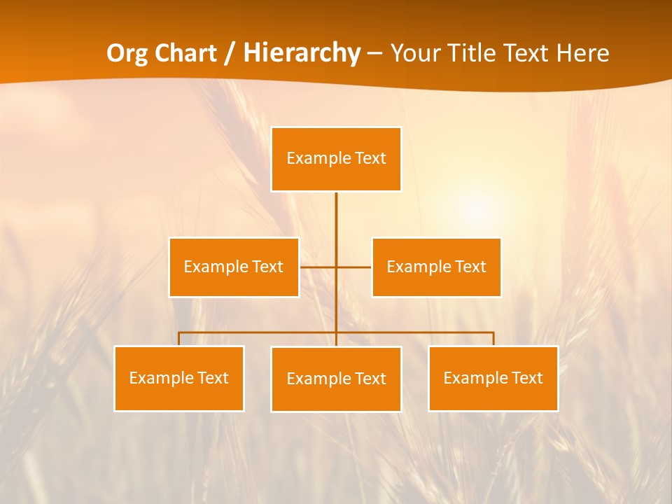 Wheat Fields PowerPoint Template
