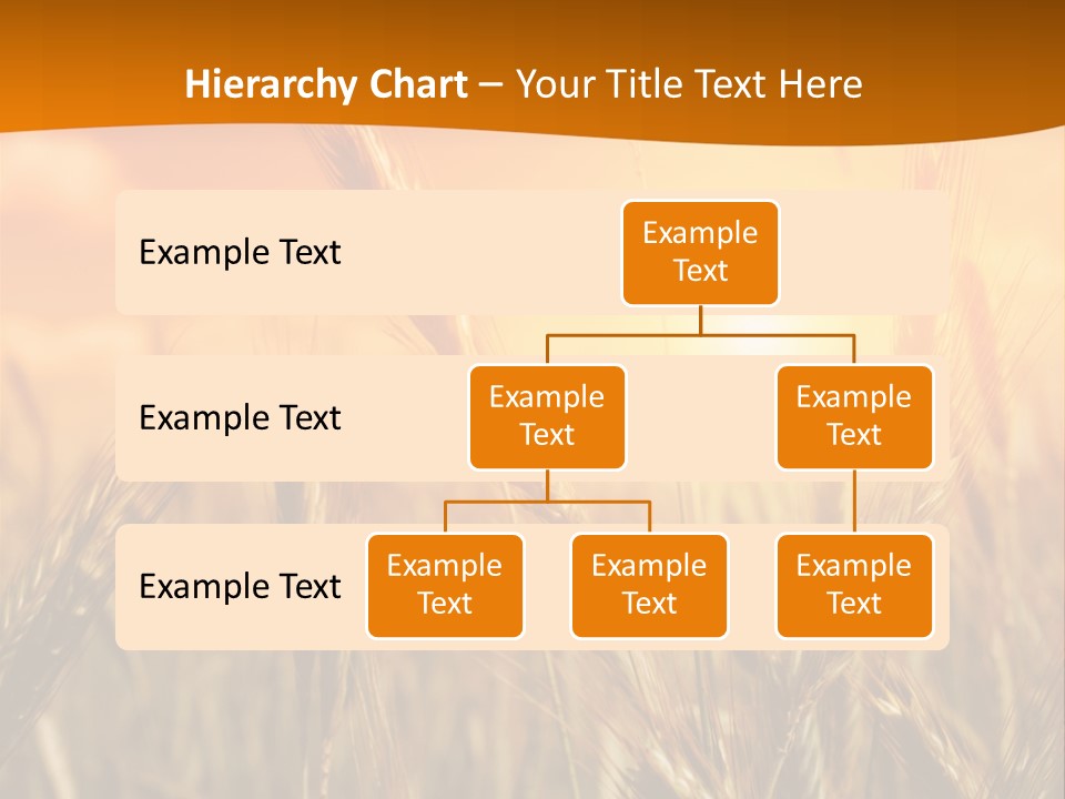 Wheat Fields PowerPoint Template