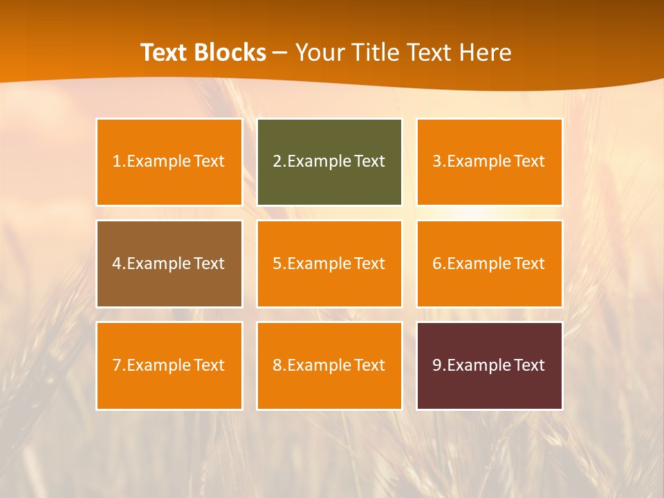 Wheat Fields PowerPoint Template