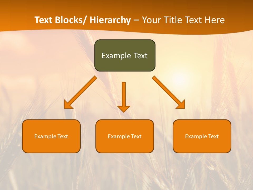 Wheat Fields PowerPoint Template