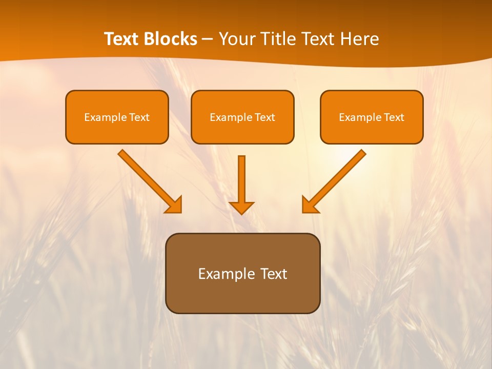 Wheat Fields PowerPoint Template