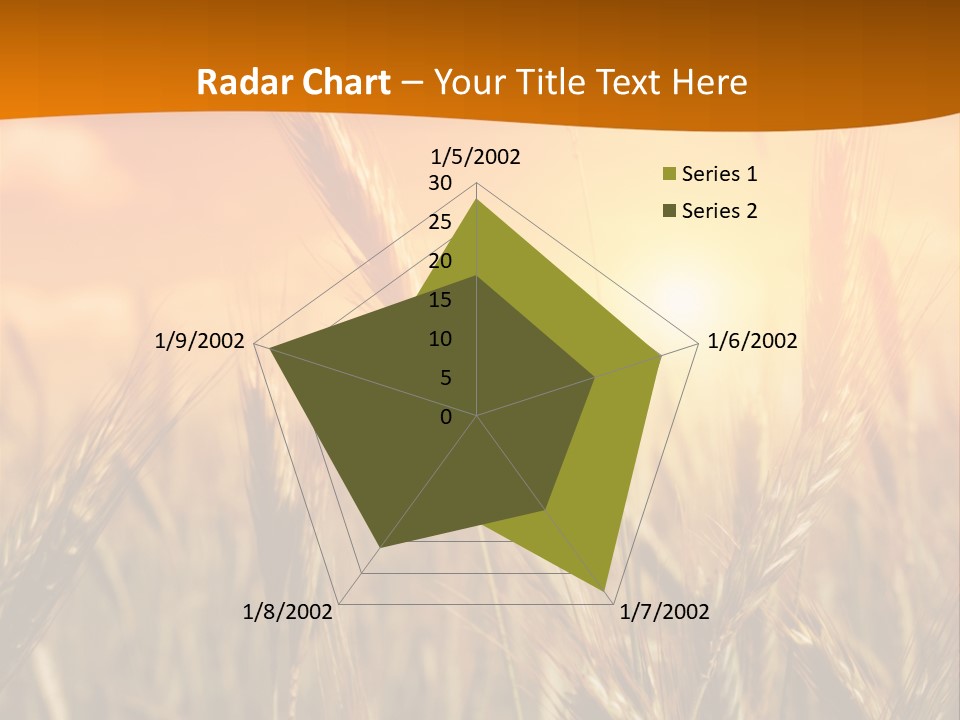 Wheat Fields PowerPoint Template