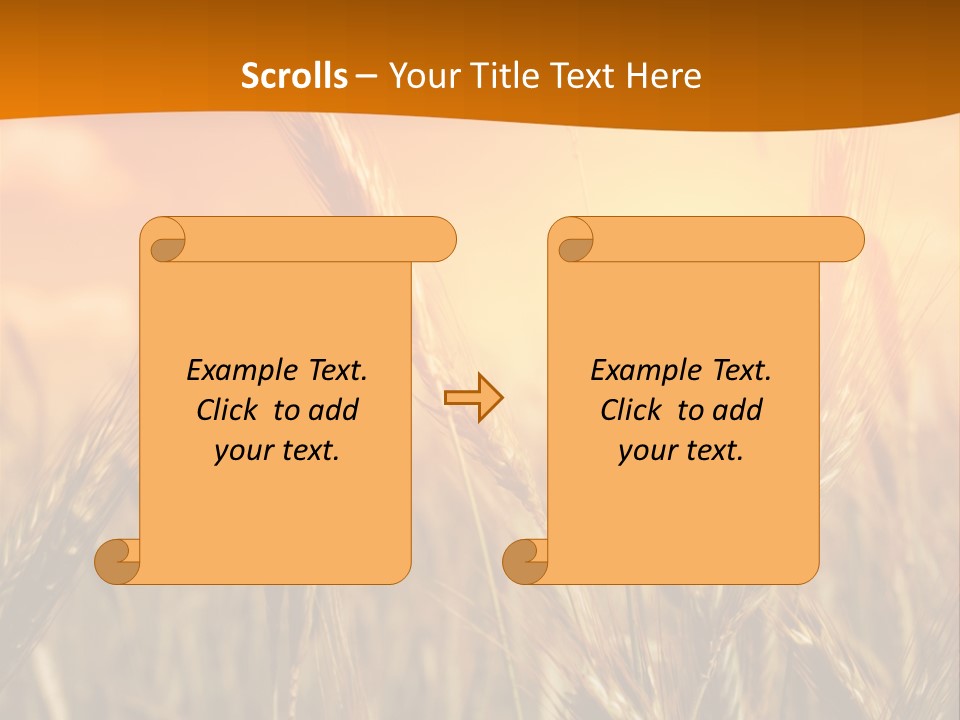 Wheat Fields PowerPoint Template