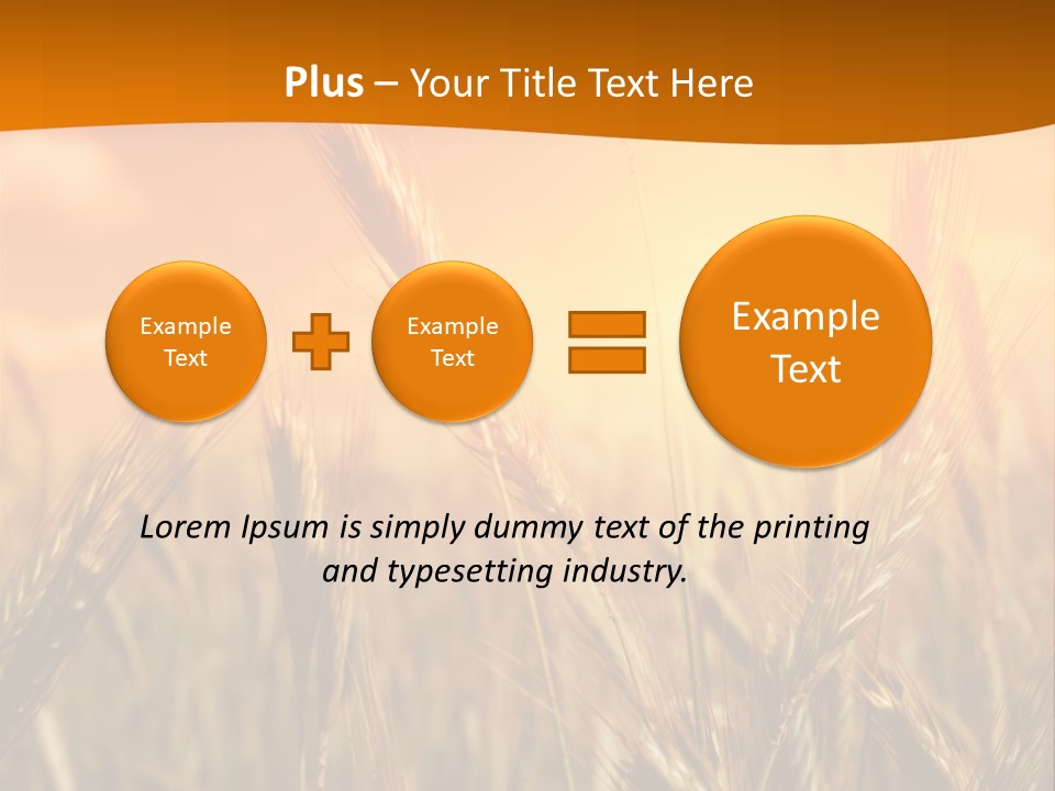 Wheat Fields PowerPoint Template