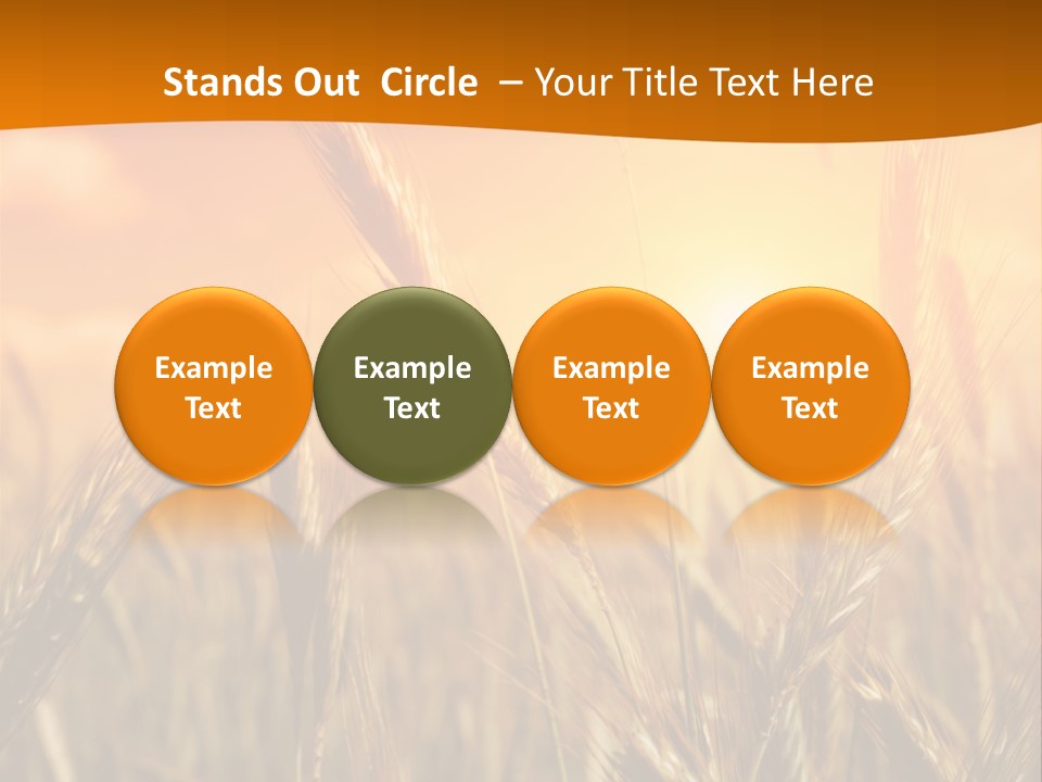 Wheat Fields PowerPoint Template