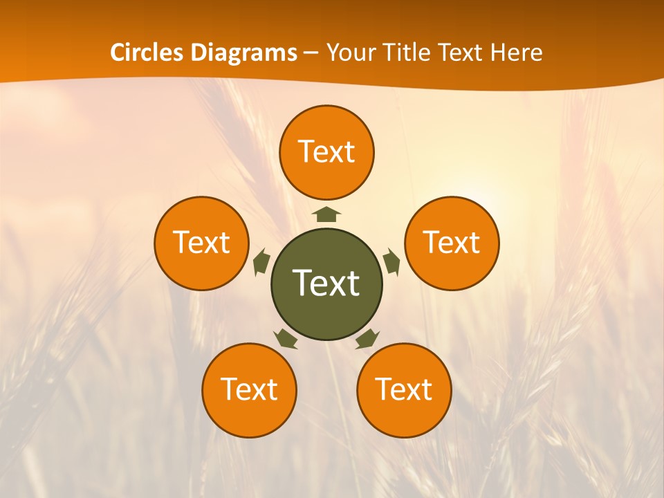 Wheat Fields PowerPoint Template