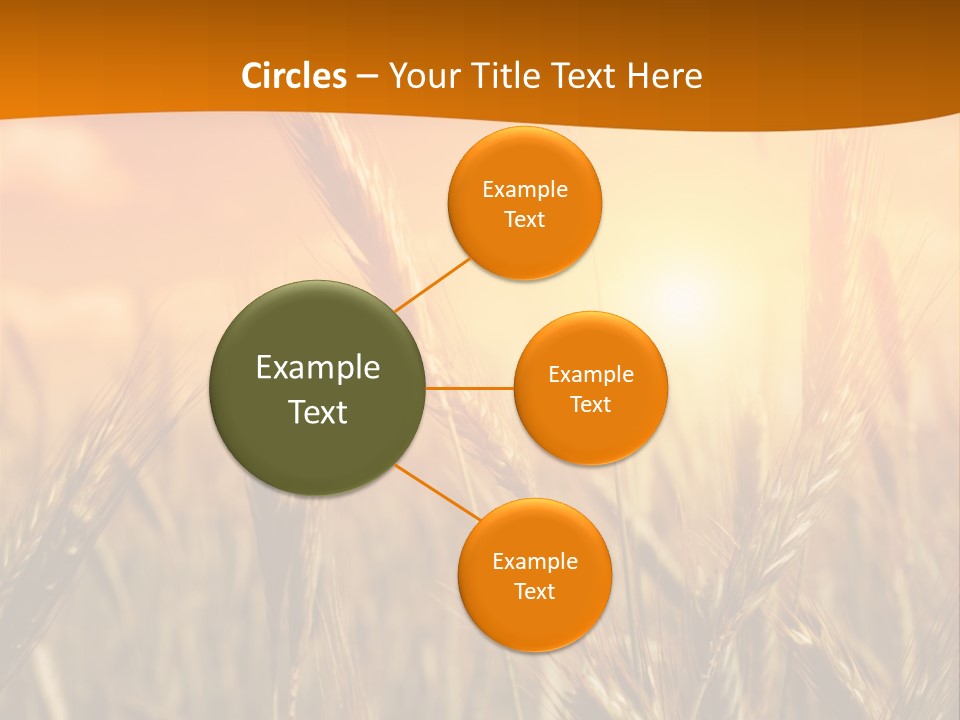 Wheat Fields PowerPoint Template