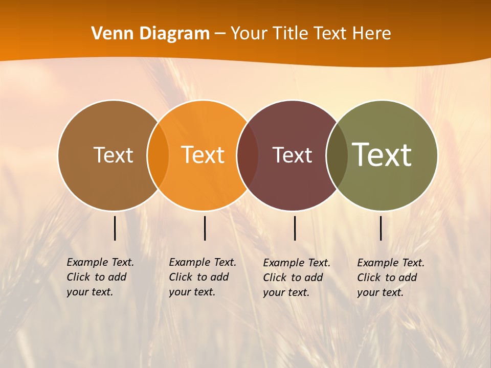 Wheat Fields PowerPoint Template