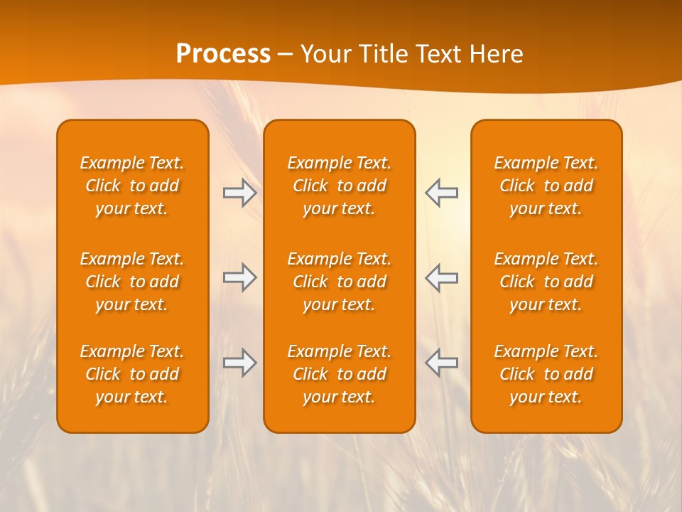 Wheat Fields PowerPoint Template