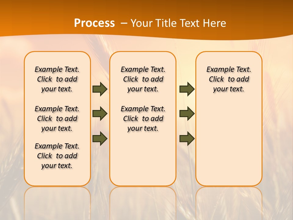 Wheat Fields PowerPoint Template