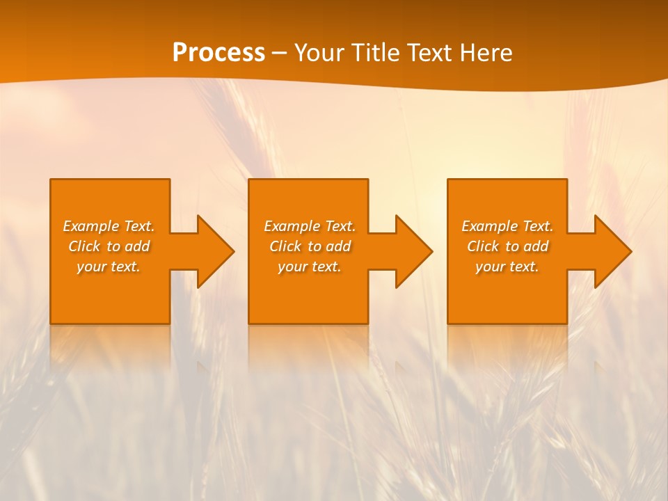 Wheat Fields PowerPoint Template