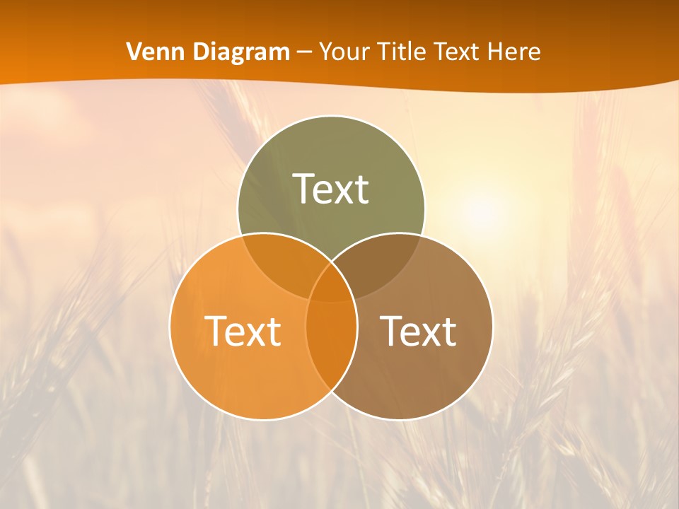Wheat Fields PowerPoint Template
