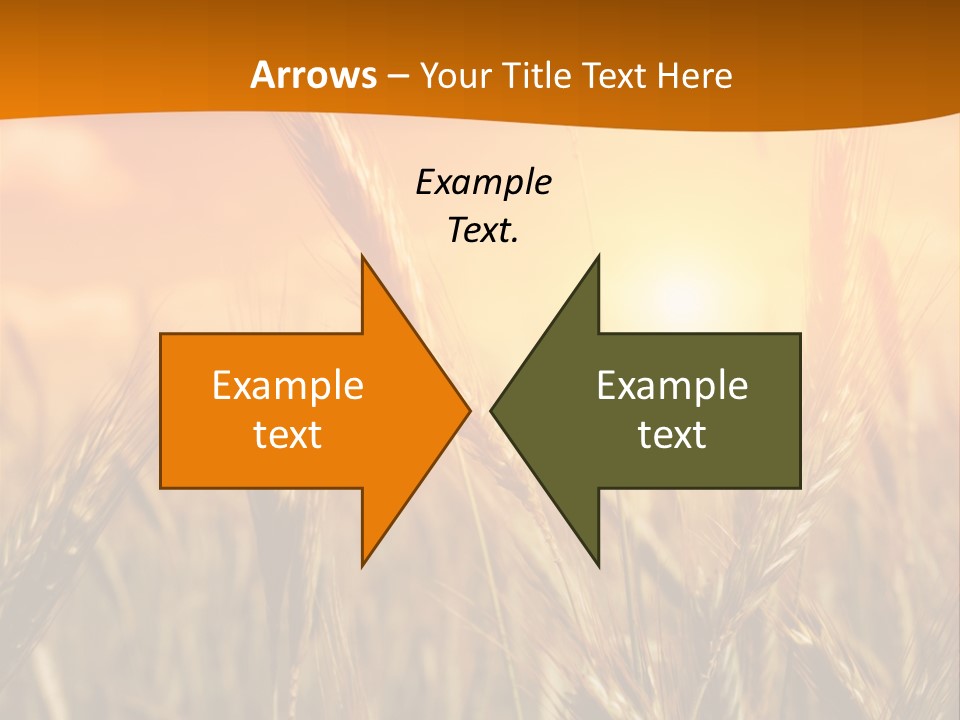 Wheat Fields PowerPoint Template