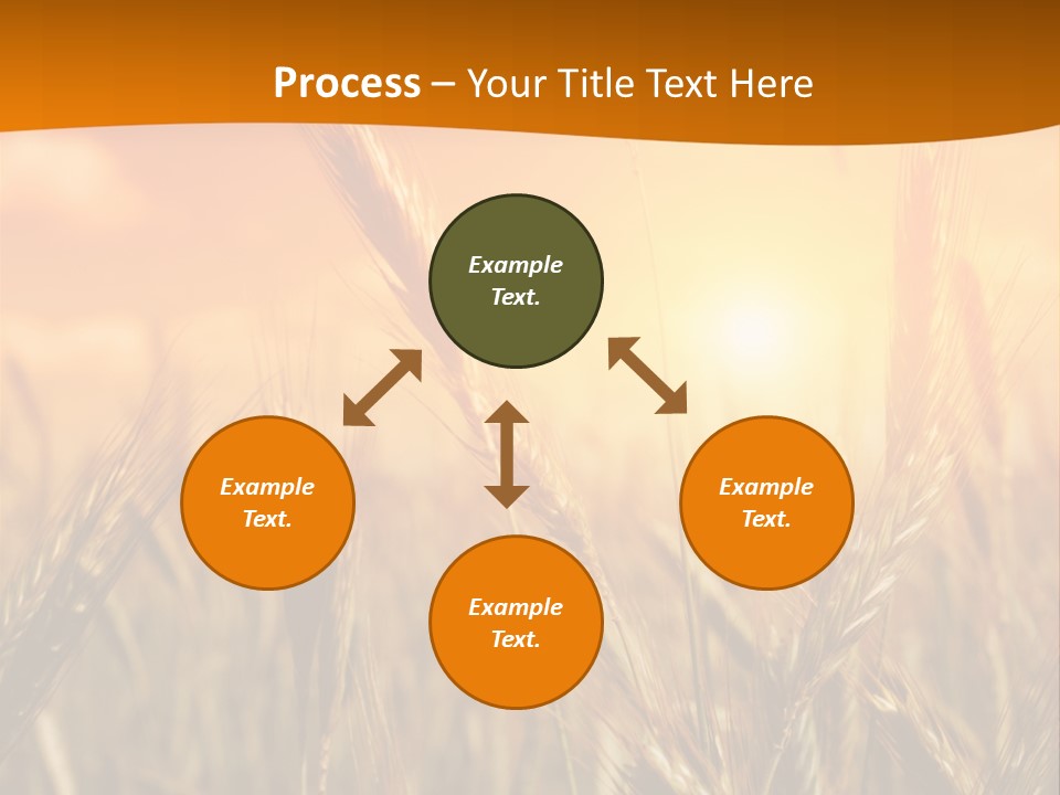 Wheat Fields PowerPoint Template