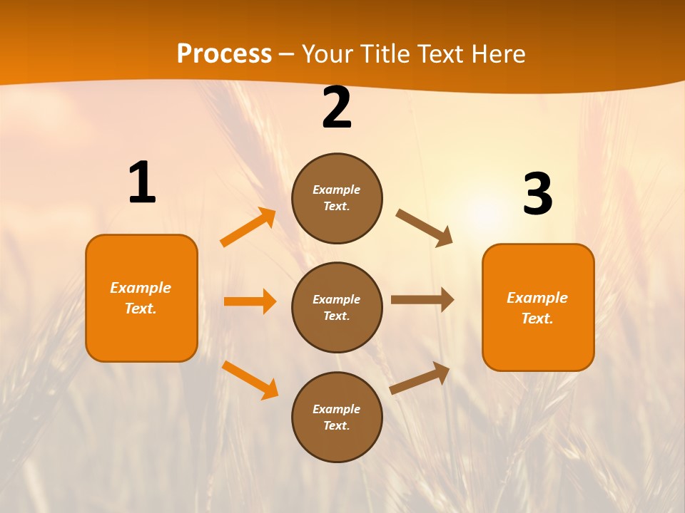 Wheat Fields PowerPoint Template