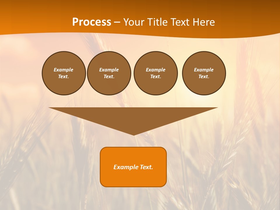 Wheat Fields PowerPoint Template